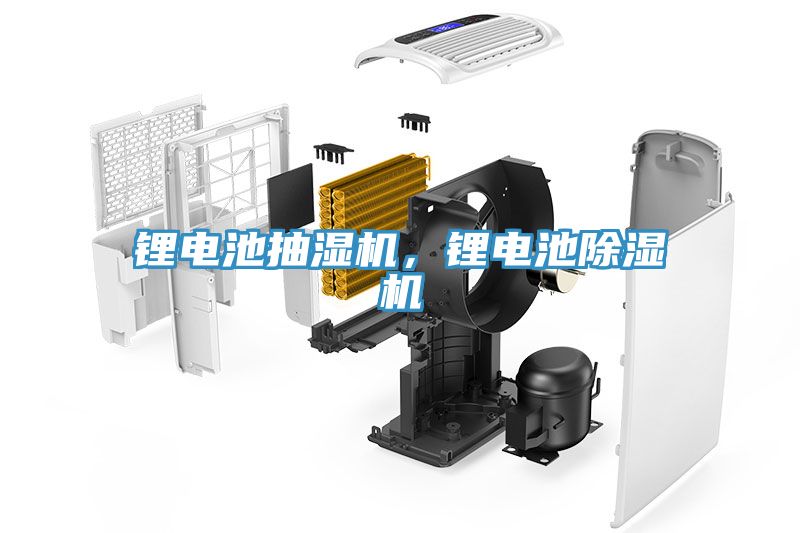 鋰電池抽濕機(jī)，鋰電池除濕機(jī)