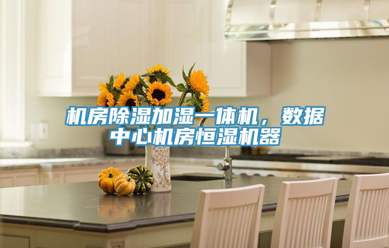 機(jī)房除濕加濕一體機(jī)，數(shù)據(jù)中心機(jī)房恒濕機(jī)器