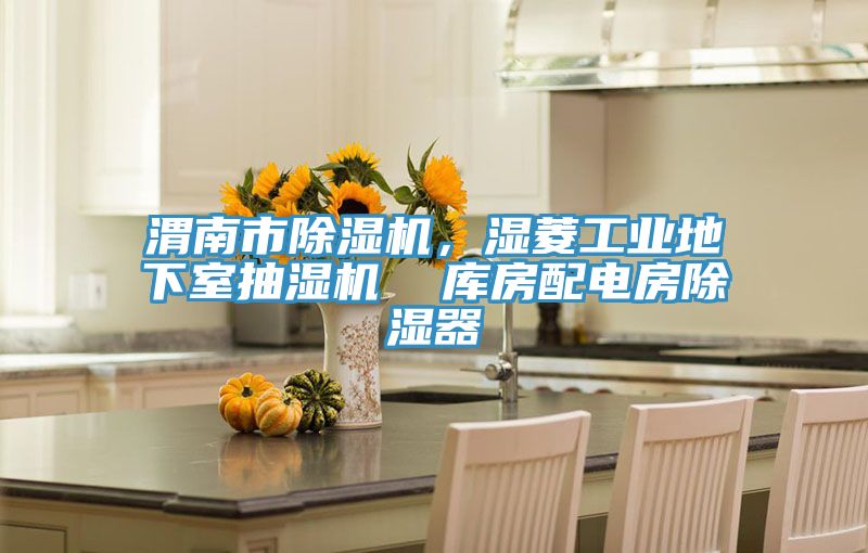 渭南市除濕機(jī)，濕菱工業(yè)地下室抽濕機(jī)  庫(kù)房配電房除濕器