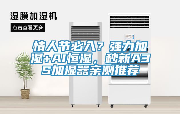 情人節(jié)必入？強(qiáng)力加濕+AI恒濕，秒新A3S加濕器親測(cè)推薦