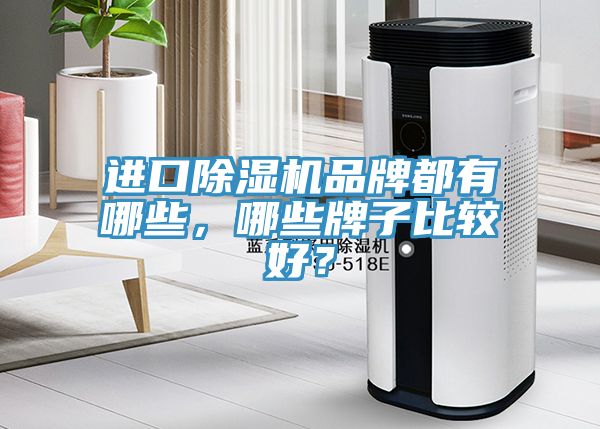 進口除濕機品牌都有哪些，哪些牌子比較好？