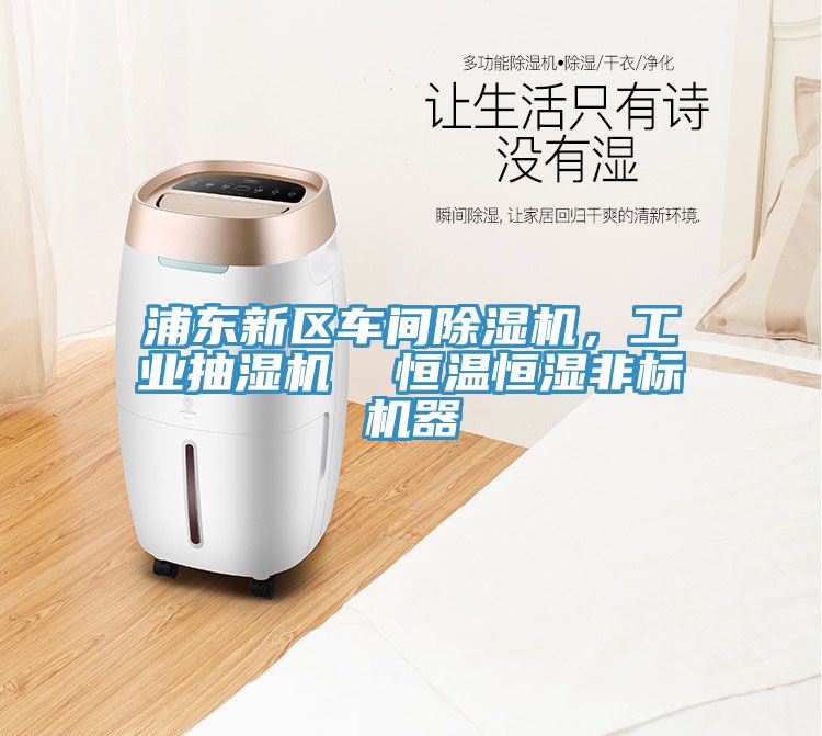 浦東新區(qū)車間除濕機(jī)，工業(yè)抽濕機(jī)  恒溫恒濕非標(biāo)機(jī)器