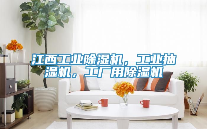江西工業(yè)除濕機，工業(yè)抽濕機，工廠用除濕機
