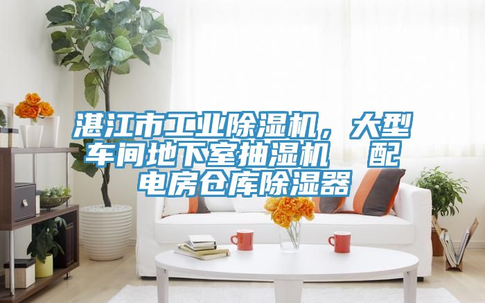 湛江市工業(yè)除濕機(jī)，大型車間地下室抽濕機(jī)  配電房倉(cāng)庫(kù)除濕器