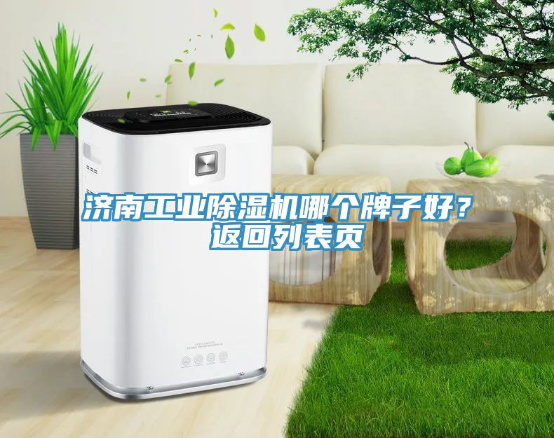 濟(jì)南工業(yè)除濕機(jī)哪個牌子好？ 返回列表頁