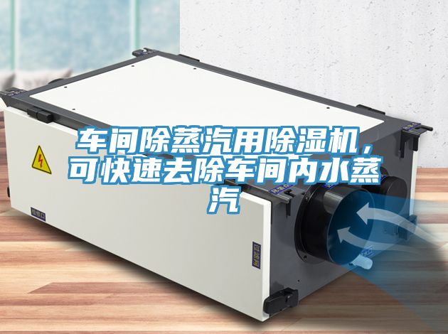 車間除蒸汽用除濕機(jī)，可快速去除車間內(nèi)水蒸汽