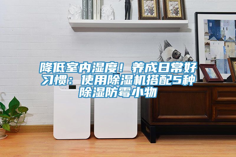 降低室內(nèi)濕度！養(yǎng)成日常好習(xí)慣：使用除濕機搭配5種除濕防霉小物