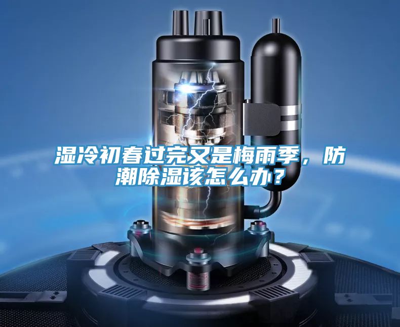 濕冷初春過(guò)完又是梅雨季，防潮除濕該怎么辦？