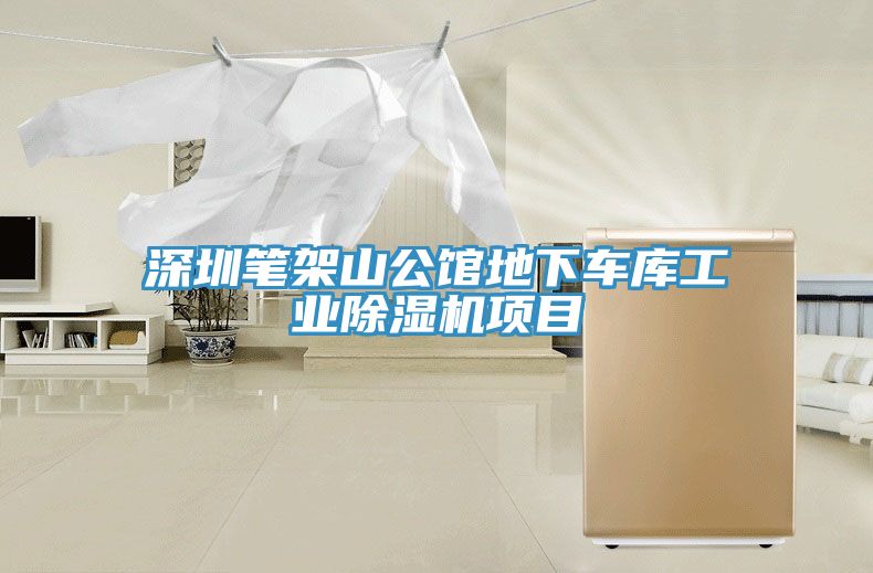 深圳筆架山公館地下車庫工業(yè)除濕機(jī)項目