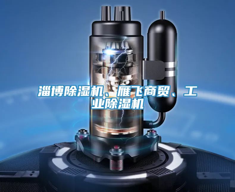 淄博除濕機(jī)、雁飛商貿(mào)、工業(yè)除濕機(jī)