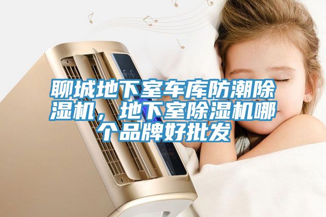 聊城地下室車(chē)庫(kù)防潮除濕機(jī)，地下室除濕機(jī)哪個(gè)品牌好批發(fā)