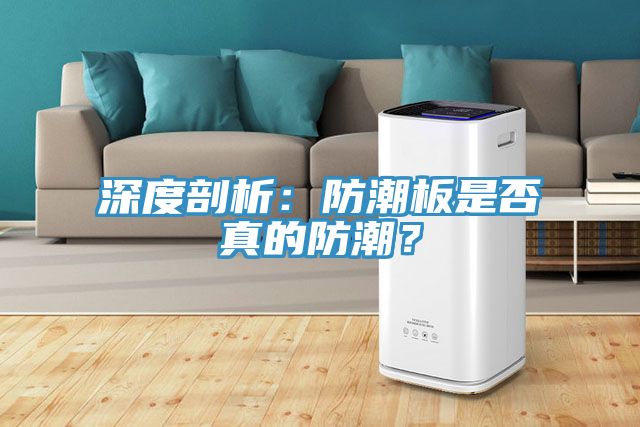 深度剖析：防潮板是否真的防潮？