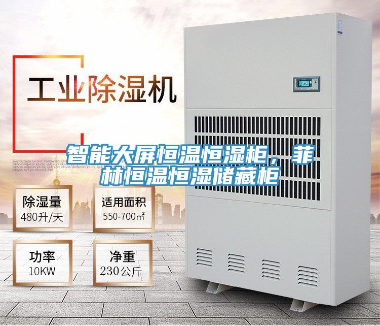 智能大屏恒溫恒濕柜，菲林恒溫恒濕儲(chǔ)藏柜