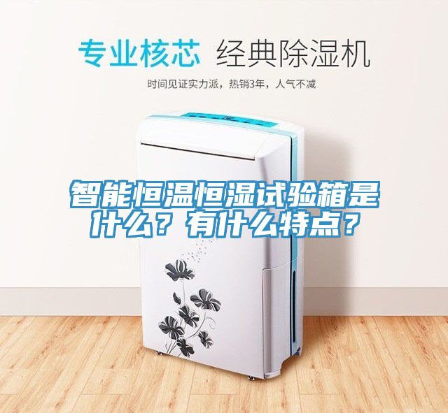 智能恒溫恒濕試驗(yàn)箱是什么？有什么特點(diǎn)？
