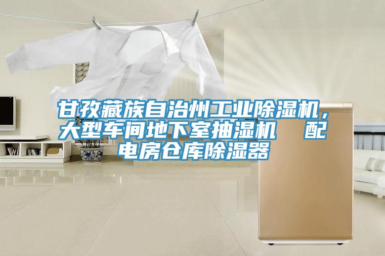 甘孜藏族自治州工業(yè)除濕機，大型車間地下室抽濕機  配電房倉庫除濕器