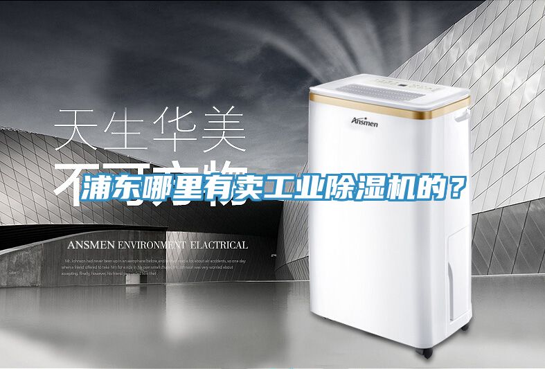 浦東哪里有賣工業(yè)除濕機(jī)的？