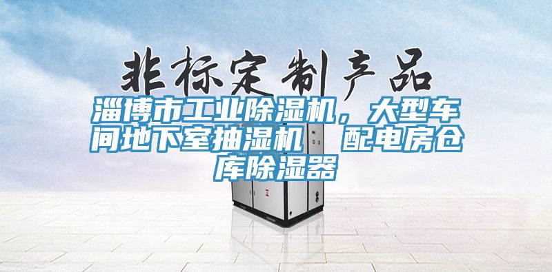 淄博市工業(yè)除濕機(jī)，大型車(chē)間地下室抽濕機(jī)  配電房倉(cāng)庫(kù)除濕器