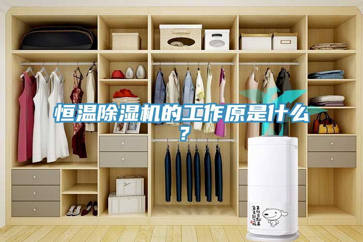 恒溫除濕機的工作原是什么？
