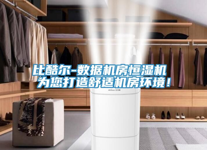 比酷爾-數(shù)據(jù)機(jī)房恒濕機(jī) 為您打造舒適機(jī)房環(huán)境！