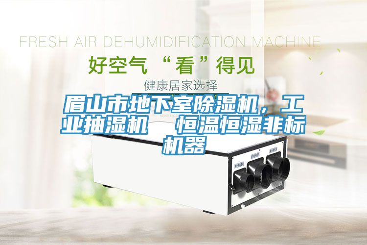 眉山市地下室除濕機，工業(yè)抽濕機  恒溫恒濕非標機器