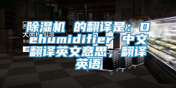 除濕機(jī) 的翻譯是：Dehumidifier 中文翻譯英文意思，翻譯英語