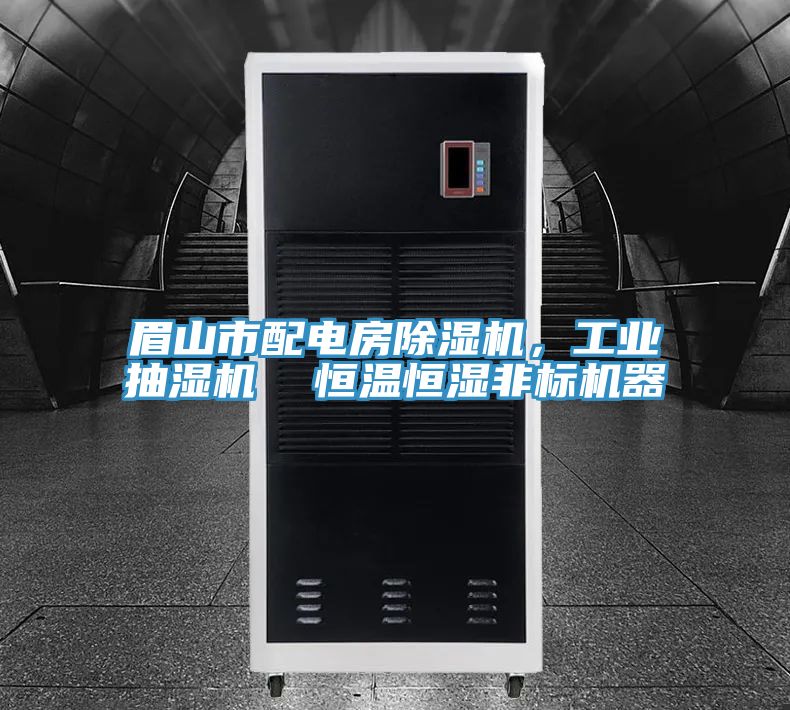 眉山市配電房除濕機，工業(yè)抽濕機  恒溫恒濕非標機器