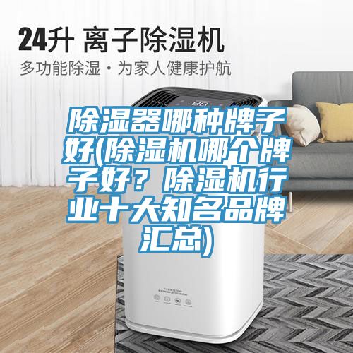 除濕器哪種牌子好(除濕機哪個牌子好？除濕機行業(yè)十大知名品牌匯總)