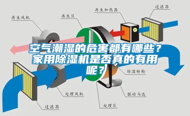 空氣潮濕的危害都有哪些？家用除濕機(jī)是否真的有用呢？