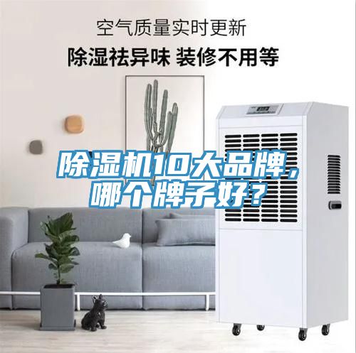 除濕機(jī)10大品牌，哪個牌子好？