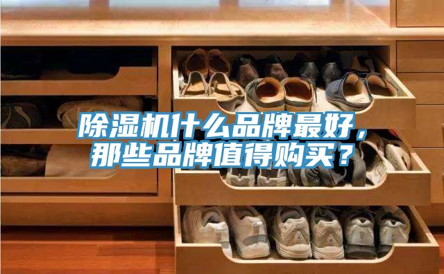 除濕機(jī)什么品牌最好，那些品牌值得購買？