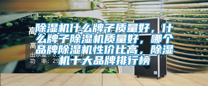 除濕機什么牌子質(zhì)量好，什么牌子除濕機質(zhì)量好，哪個品牌除濕機性價比高，除濕機十大品牌排行榜