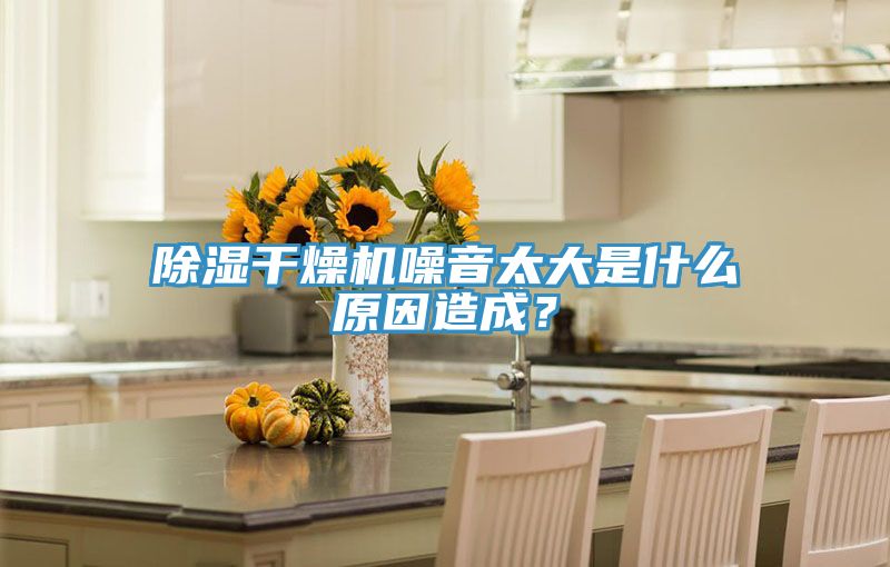 除濕干燥機噪音太大是什么原因造成？