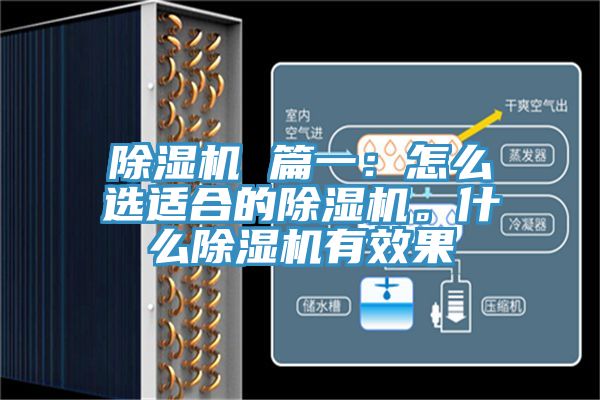 除濕機(jī) 篇一：怎么選適合的除濕機(jī)。什么除濕機(jī)有效果