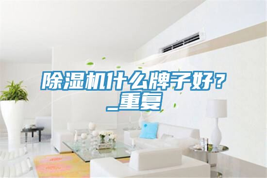 除濕機(jī)什么牌子好？_重復(fù)