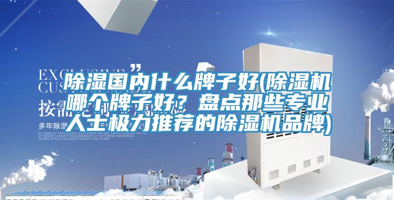 除濕國內什么牌子好(除濕機哪個牌子好？盤點那些專業(yè)人士極力推薦的除濕機品牌)