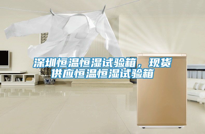 深圳恒溫恒濕試驗箱，現(xiàn)貨供應(yīng)恒溫恒濕試驗箱