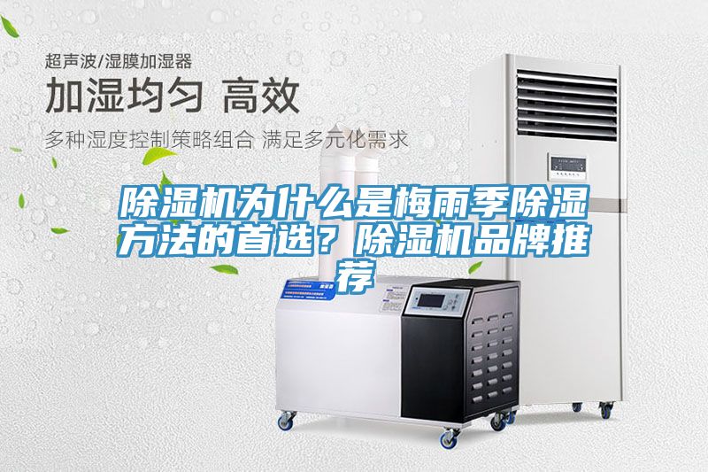 除濕機(jī)為什么是梅雨季除濕方法的首選？除濕機(jī)品牌推薦