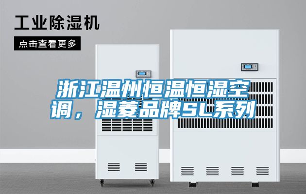 浙江溫州恒溫恒濕空調(diào)，濕菱品牌SL系列