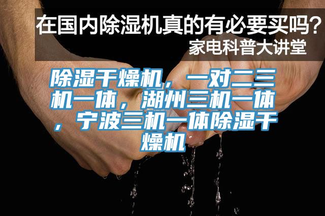 除濕干燥機(jī)，一對(duì)二三機(jī)一體，湖州三機(jī)一體，寧波三機(jī)一體除濕干燥機(jī)
