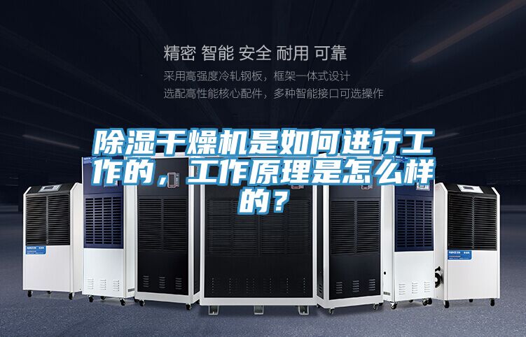 除濕干燥機是如何進行工作的，工作原理是怎么樣的？