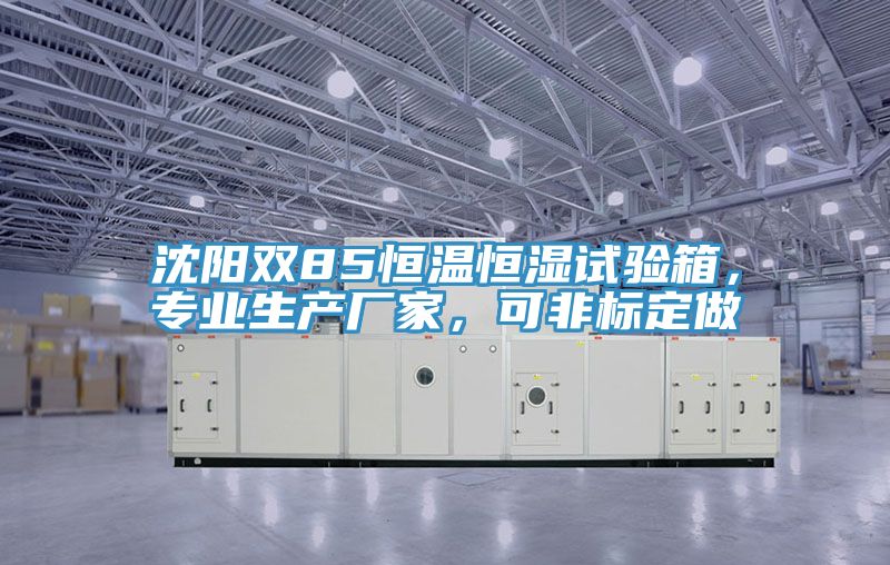 沈陽雙85恒溫恒濕試驗箱，專業(yè)生產廠家，可非標定做