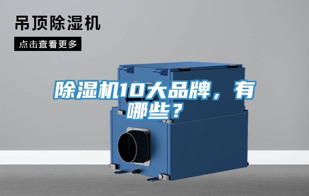 除濕機10大品牌，有哪些？