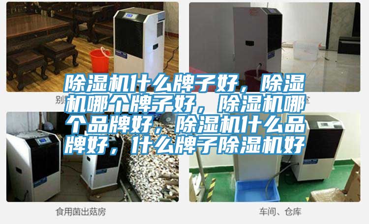 除濕機什么牌子好，除濕機哪個牌子好，除濕機哪個品牌好，除濕機什么品牌好，什么牌子除濕機好