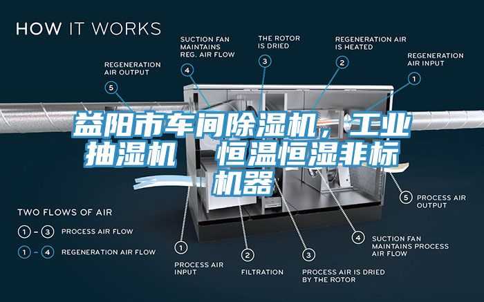 益陽市車間除濕機，工業(yè)抽濕機  恒溫恒濕非標機器
