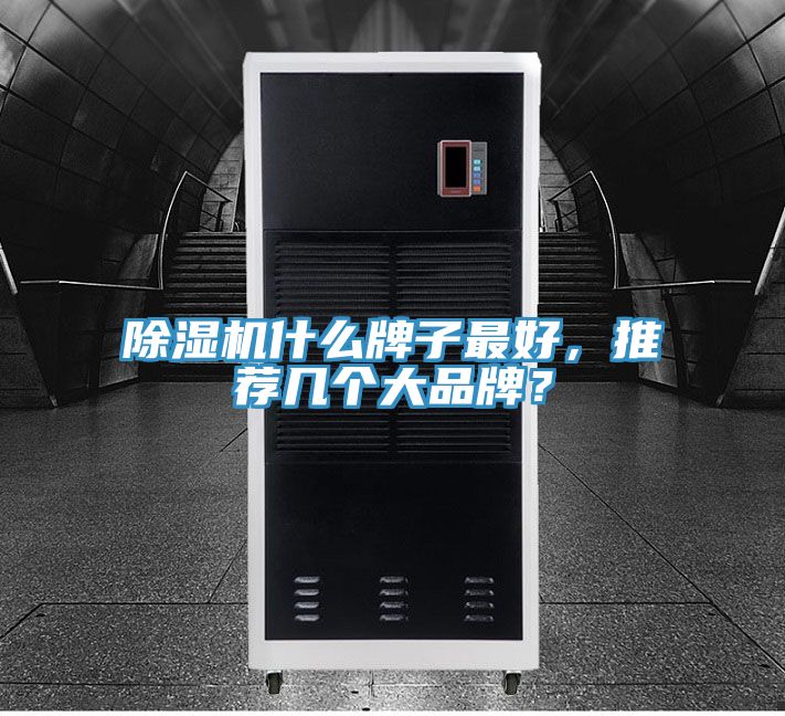除濕機什么牌子最好，推薦幾個大品牌？