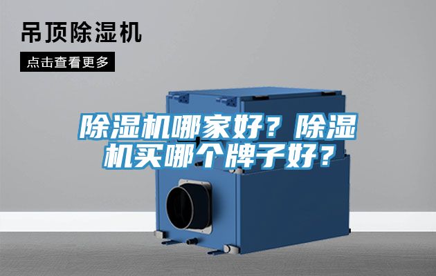 除濕機(jī)哪家好？除濕機(jī)買(mǎi)哪個(gè)牌子好？