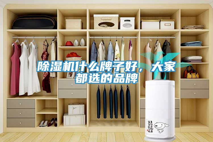除濕機什么牌子好，大家都選的品牌