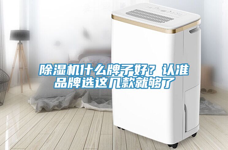 除濕機什么牌子好？認準品牌選這幾款就夠了