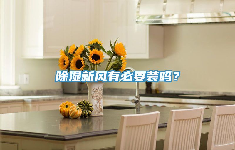 除濕新風(fēng)有必要裝嗎？