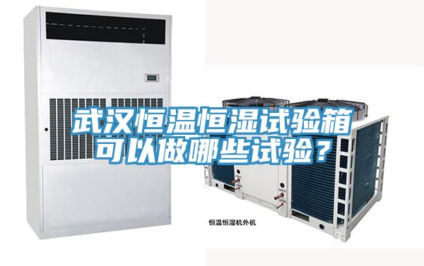 武漢恒溫恒濕試驗(yàn)箱可以做哪些試驗(yàn)？